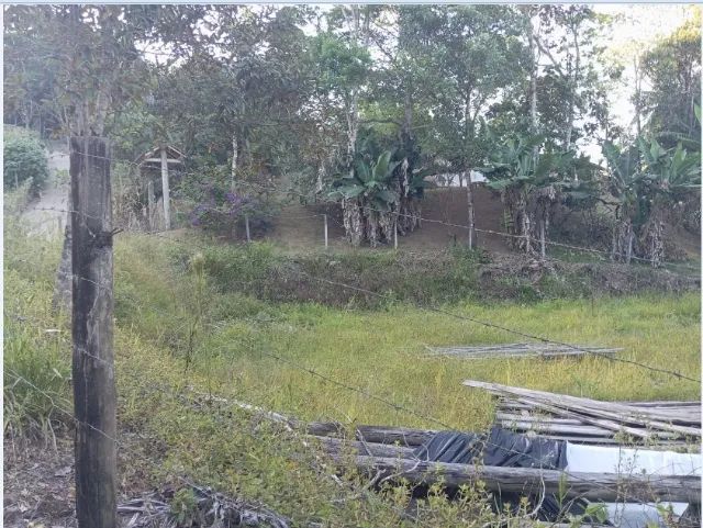 Lindo terreno plano e pronto para Chácara - Foto 2
