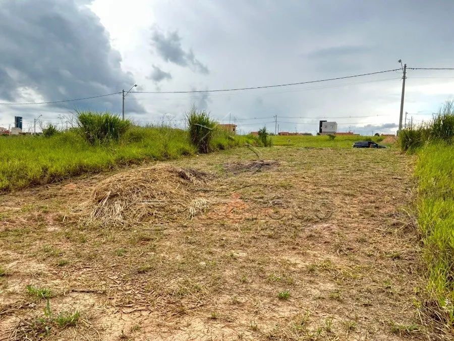TERRENO EM VIVALEGRO - LOTEAMENTO ABERTO - Foto 5