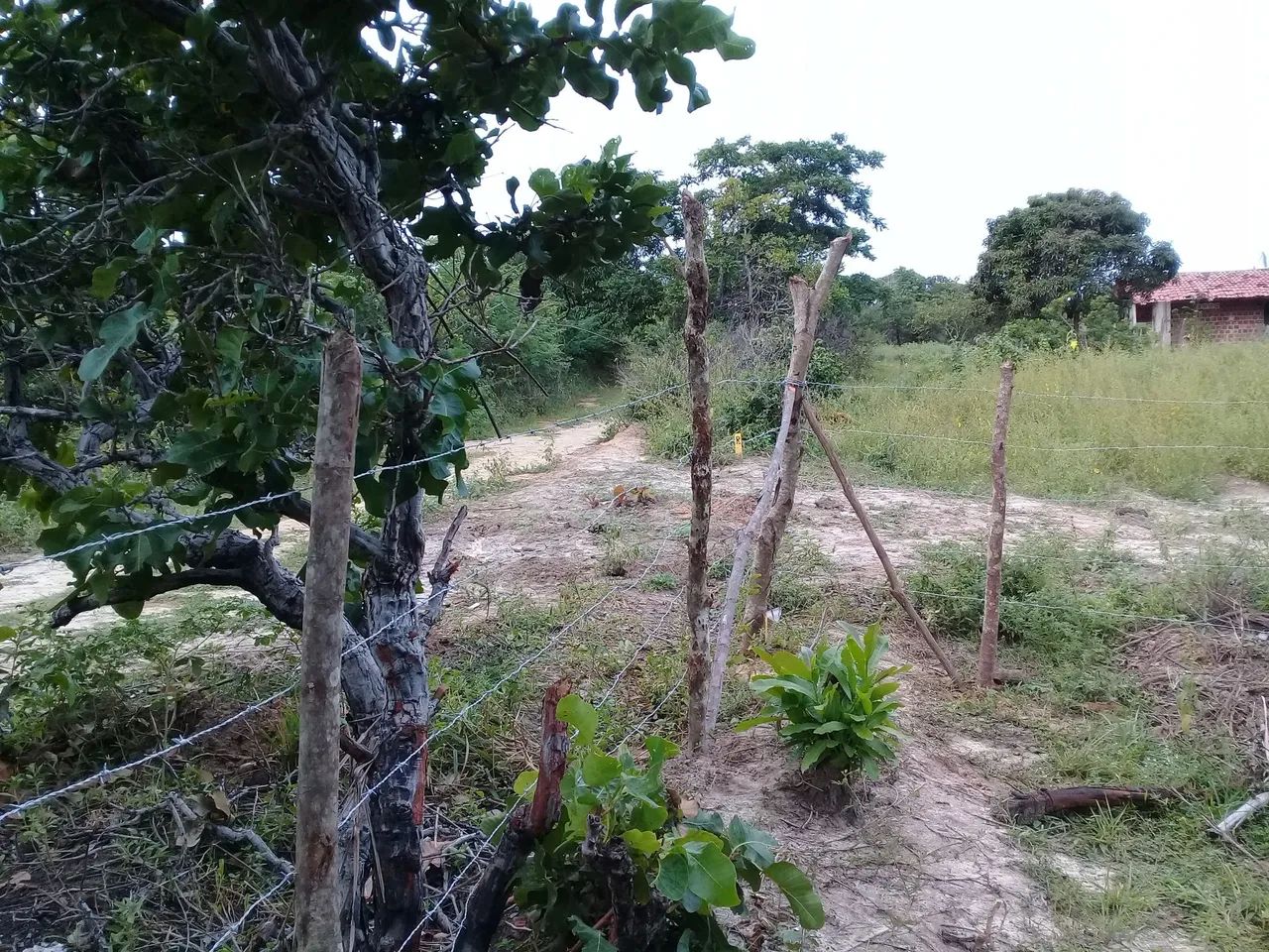 Terreno em Itamaracá  - Foto 5