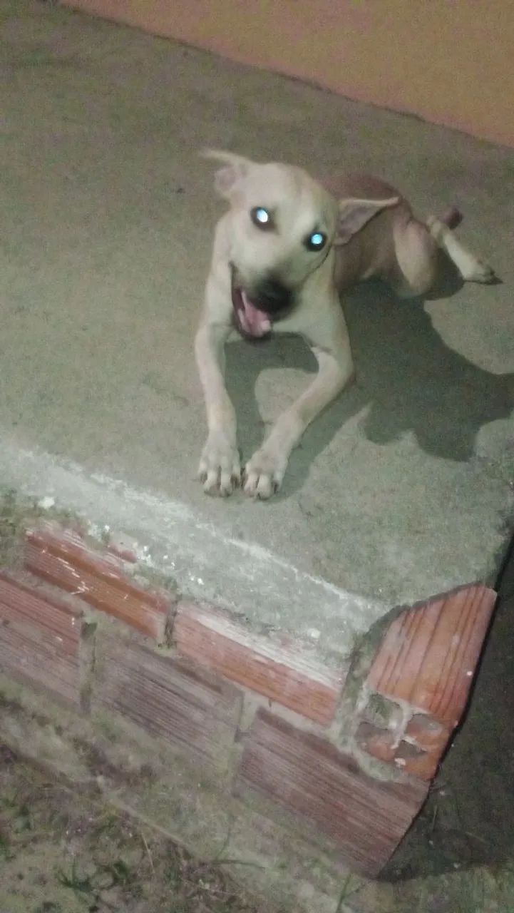 Doação  - Foto 2