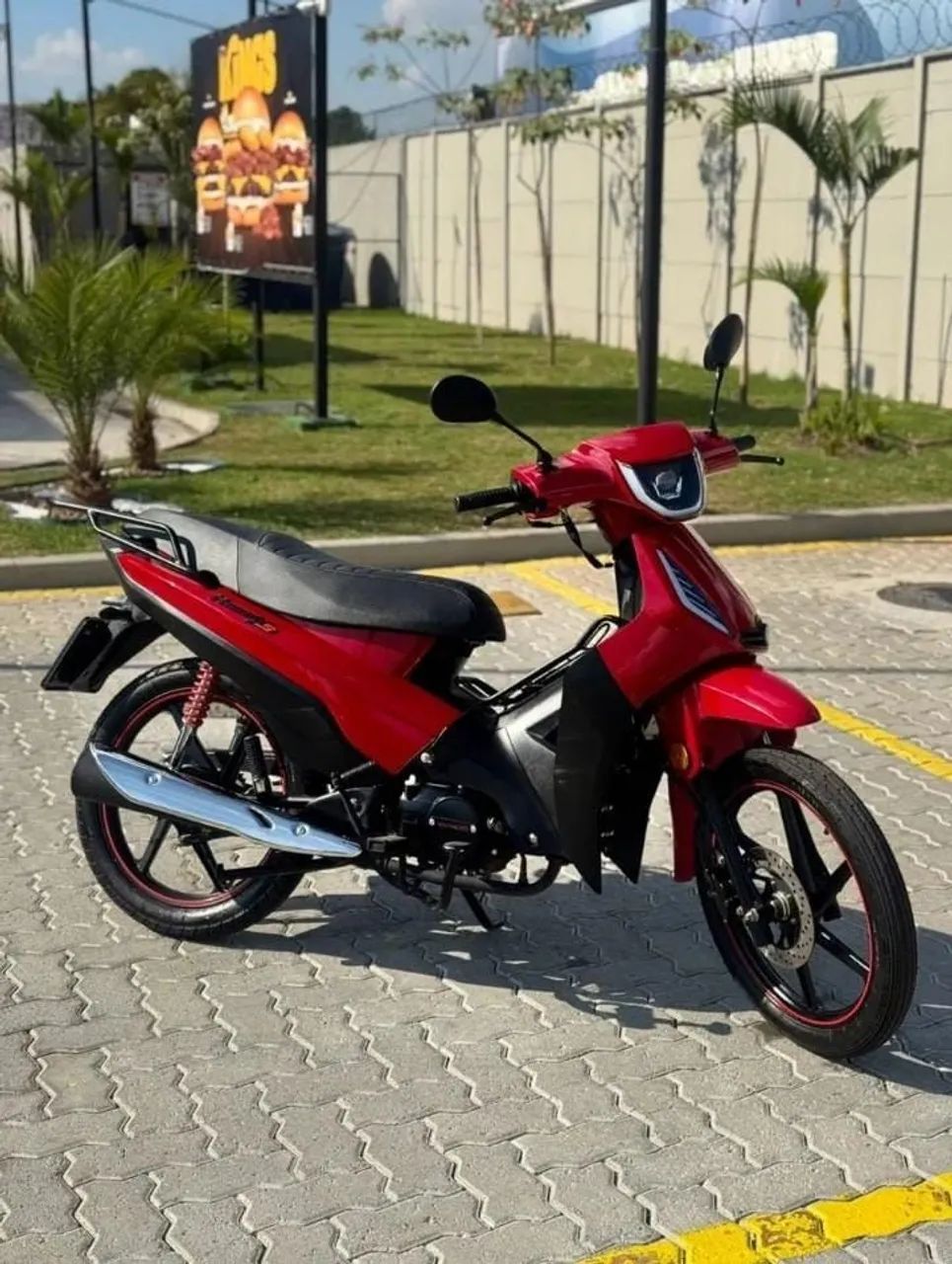 Fenix 50tinha 2024 - Foto 4