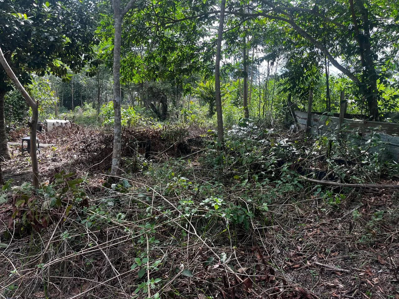 Vendo terreno 10x50  - Foto 2