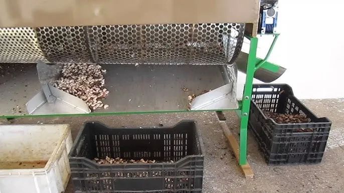 Máquina de cortar castanha  - Foto 2