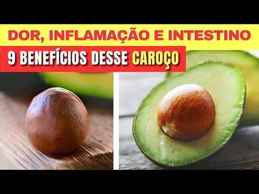 Semente de Abacate - Foto 4