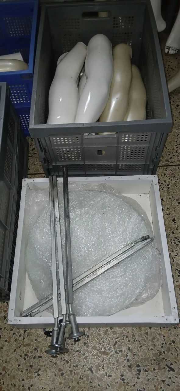 Manequim Expor Plus Size  - Foto 5