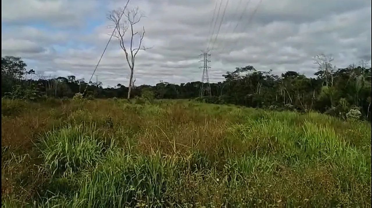Terra no benfica 50 hectares - Foto 3