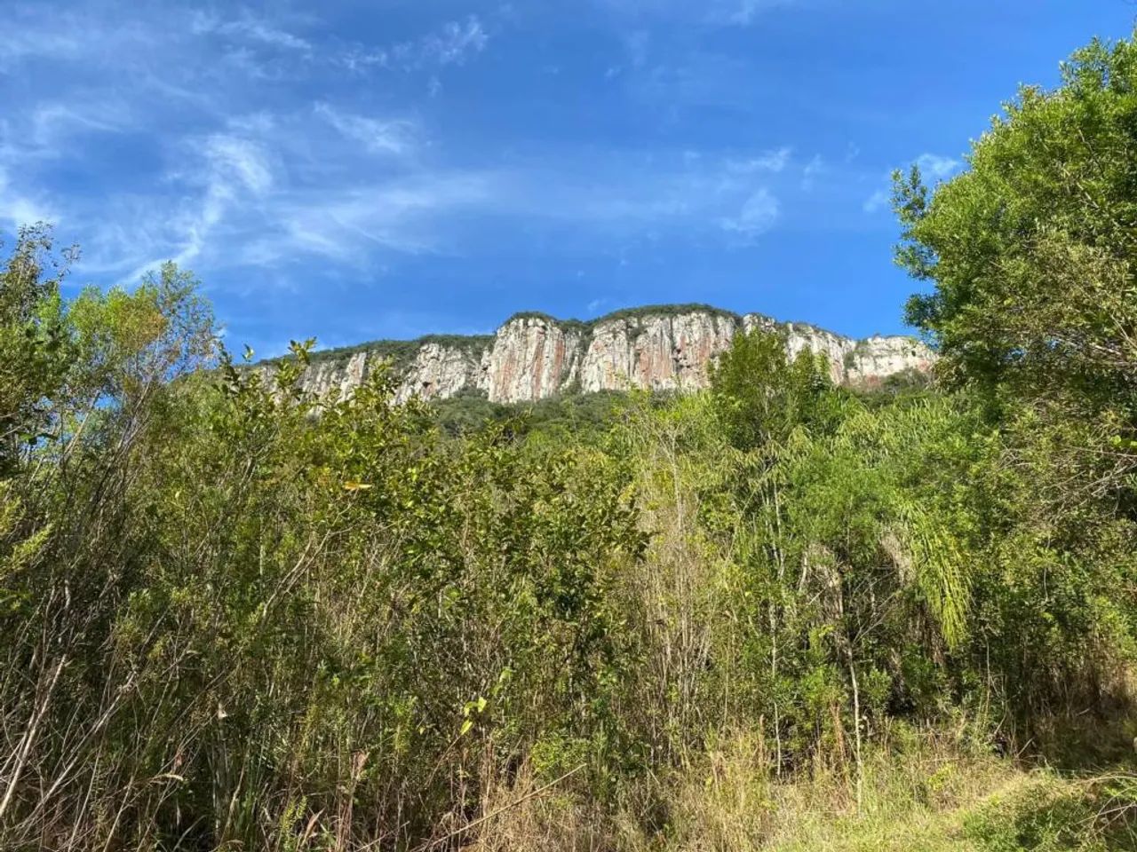 Sitio - Bairro Pedras Brancas - Foto 4