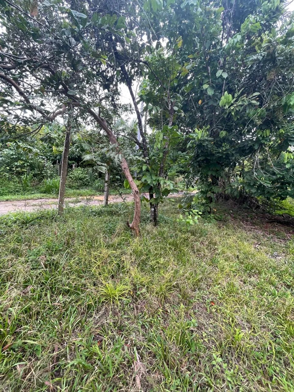 Terreno Rio preto da Eva  - Foto 5