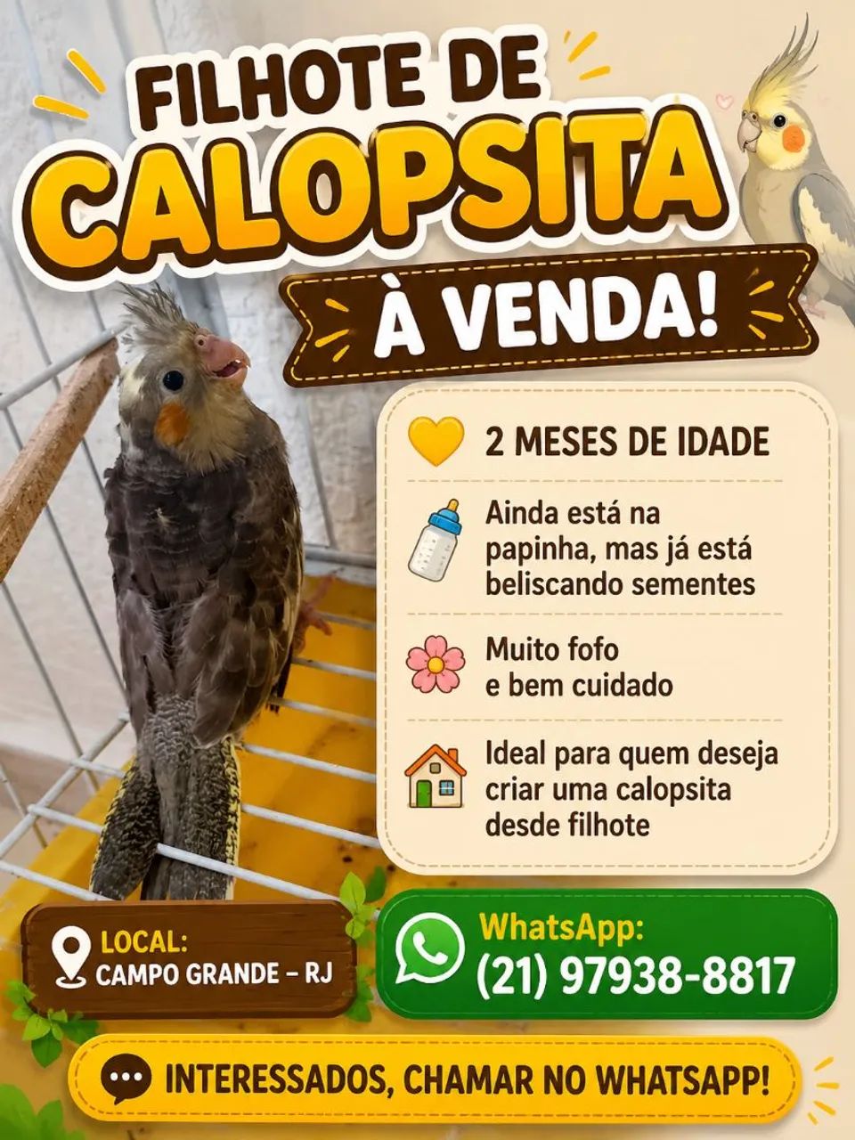 A venda  - Foto 2