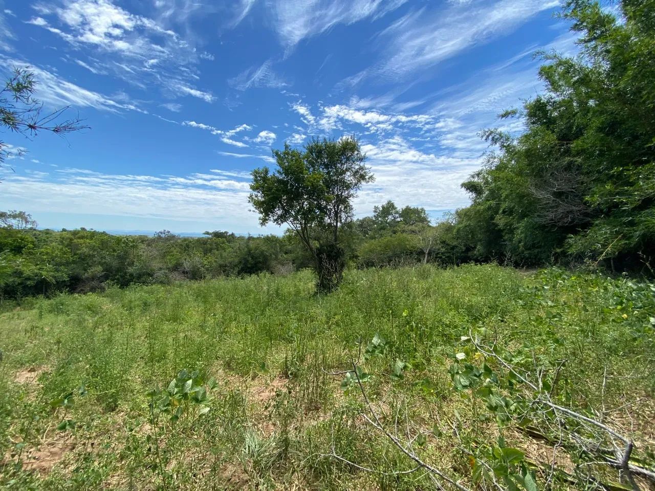 Foto - Viamão - Águas Claras