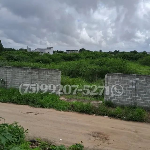 VENDA - TERRENO NO SIM! - Foto 2