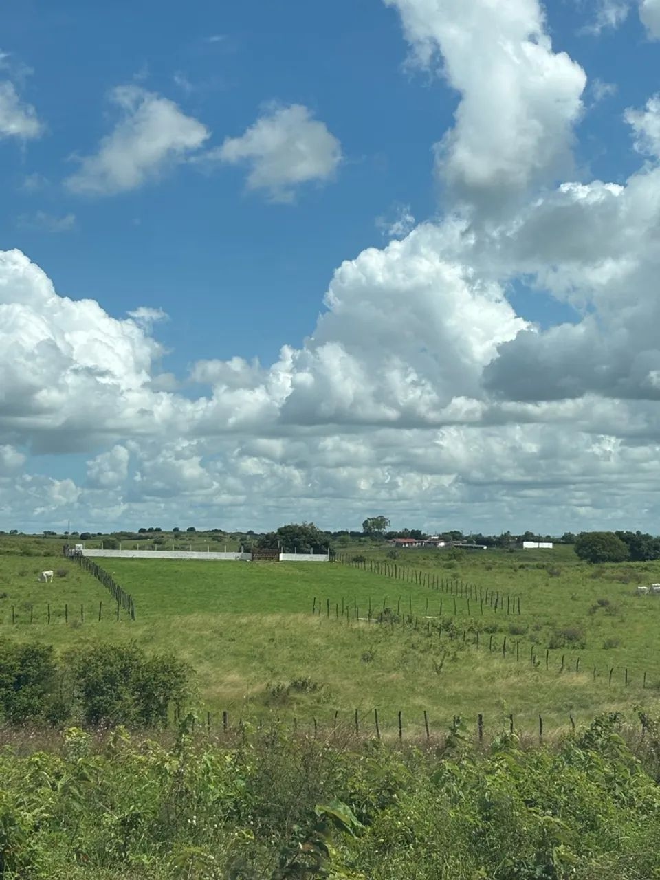 Chácara a venda  - Foto 2