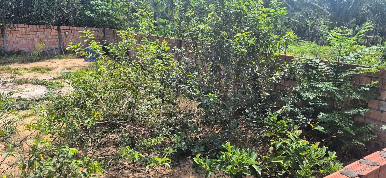 Terreno próximo ao Paricatuba  - Foto 4