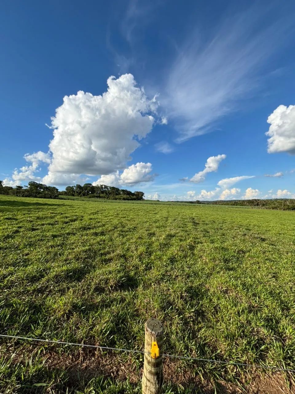 Vende se FAZENDA  - Foto 5