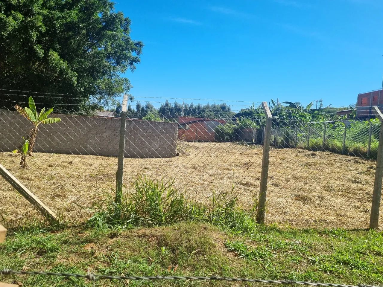 Vendo terreno Rubião Junior - Foto 3