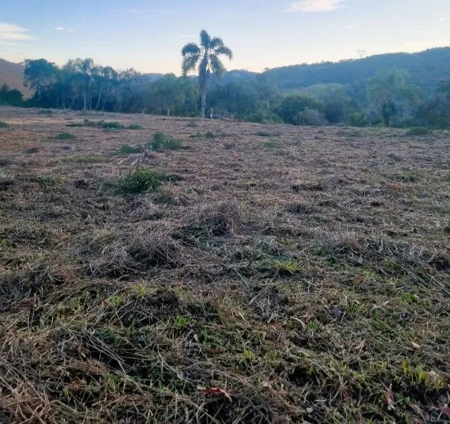 Sítio 40.000 m², Nascente, Roça, Invernada, São Pedro De Alcântara SC - Foto 5