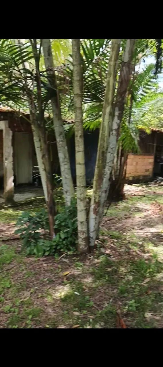 Vendo pequeno sítio na águas lindas  - Foto 3