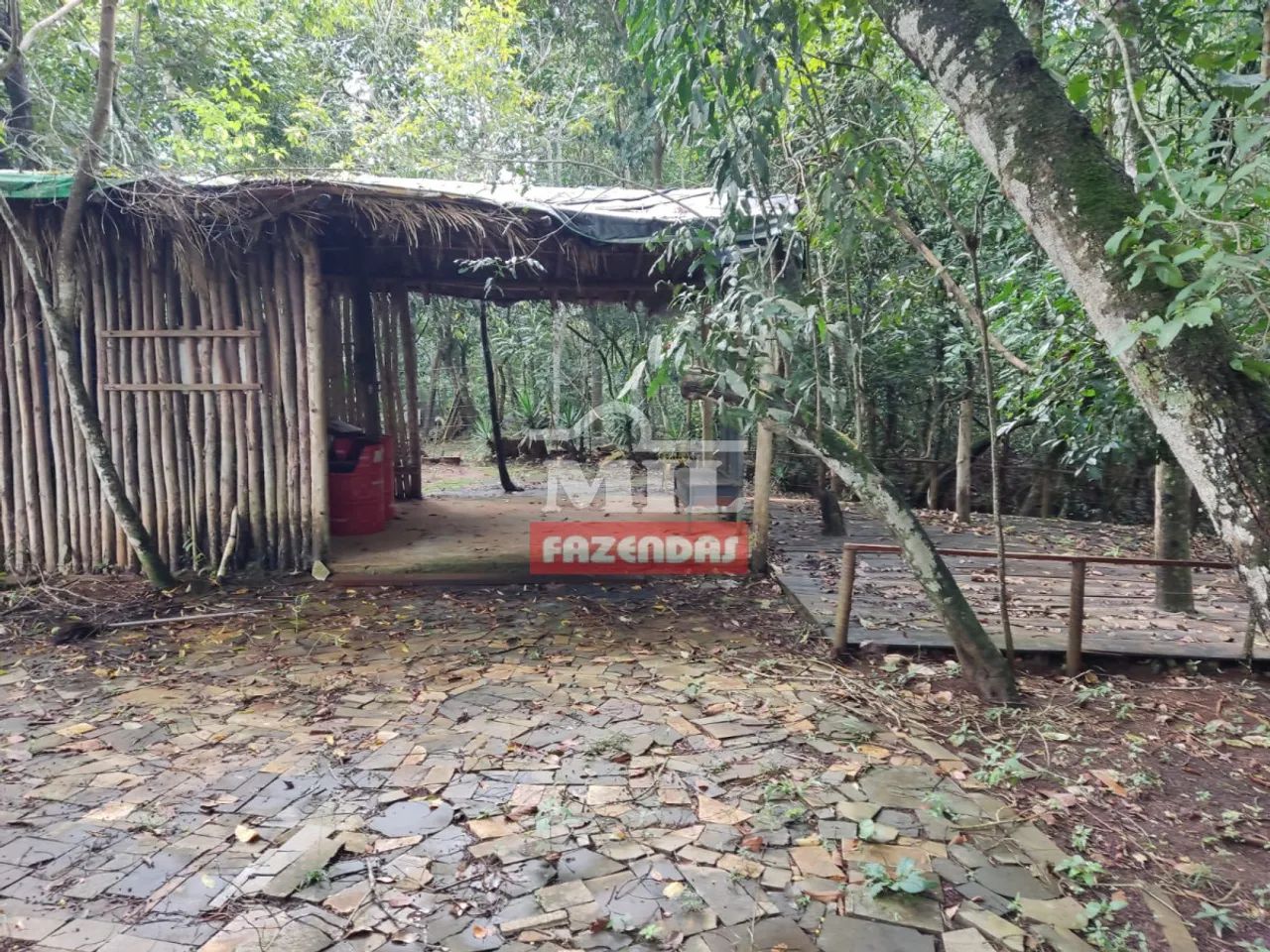 Chácara 2.500M² em Bonfinópolis - GO - Foto 3