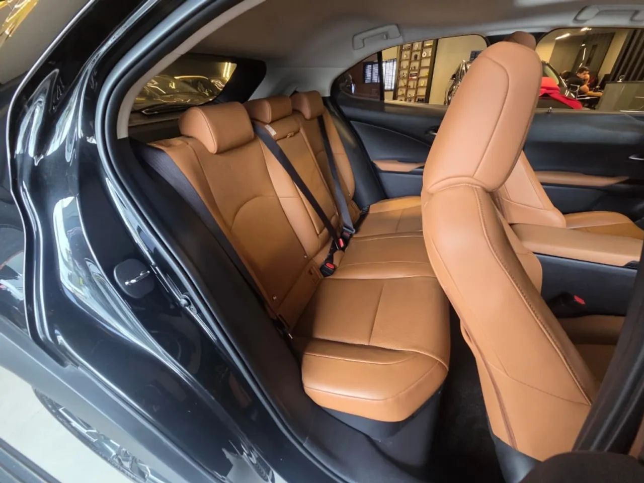 Lexus UX-250h Luxury 2.0 16V Aut.(hybrid), foto 19 de 20