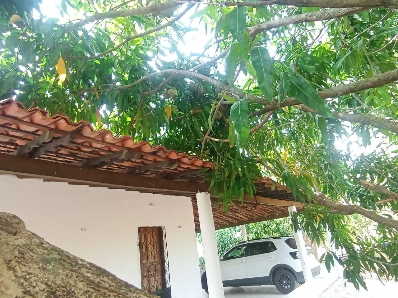 Sítio em Rosário MA  - Foto 2