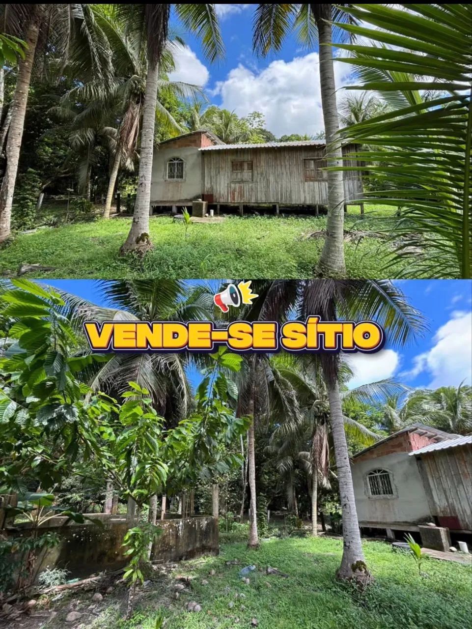 Vende - se sítio na Br174