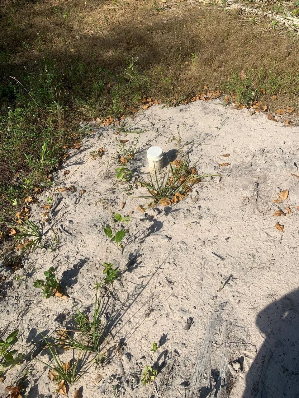 Vendo sítio ou troco, Aceito propostas. - Foto 2