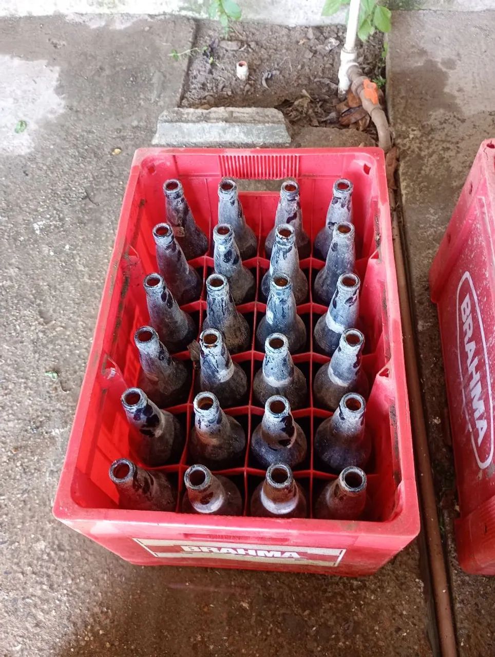 Casco de Cerveja de 600 ml. - Foto 3
