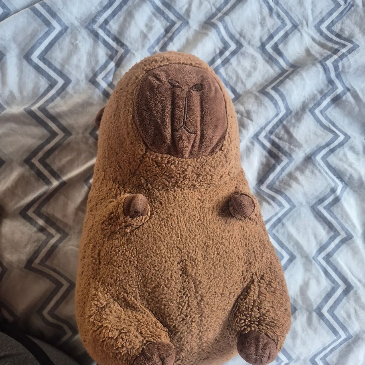 Urso capivara M - Foto 2