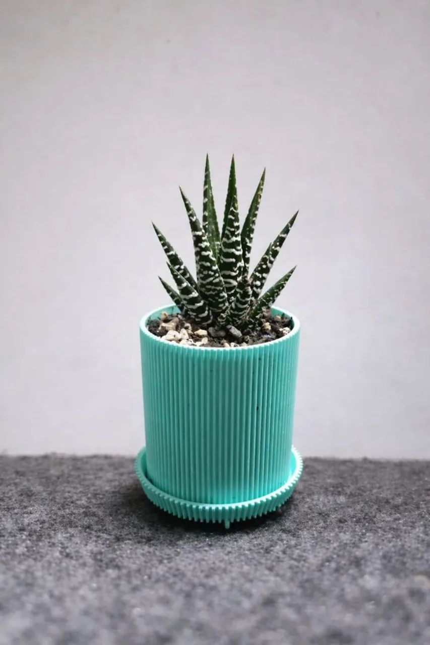 Vaso de planta