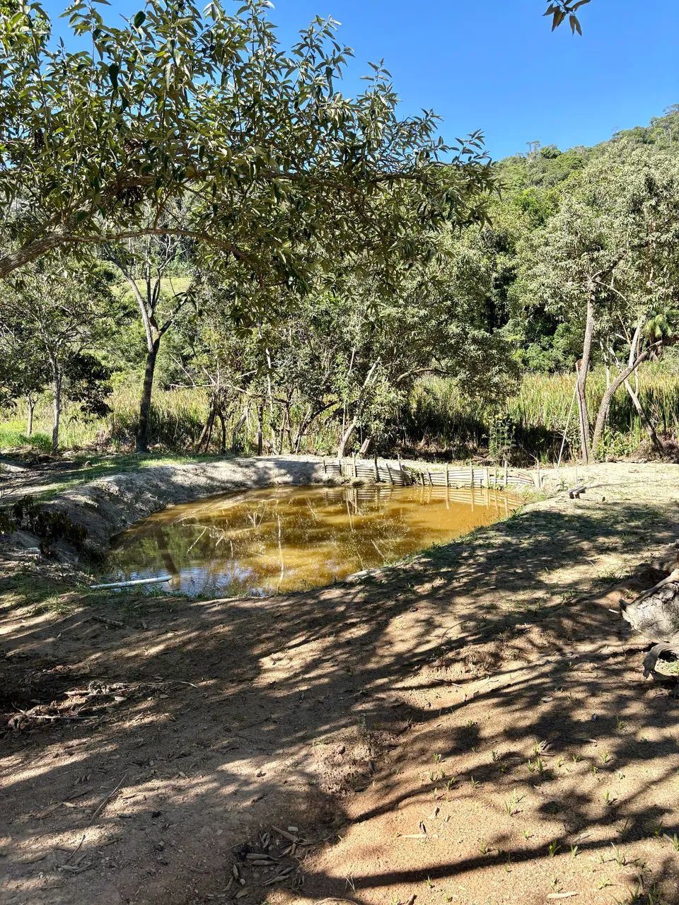 VENDE-SE SÍTIO - 7.500 m² COM DUAS CASAS, POÇO DE PEIXE E POMAR - Foto 5