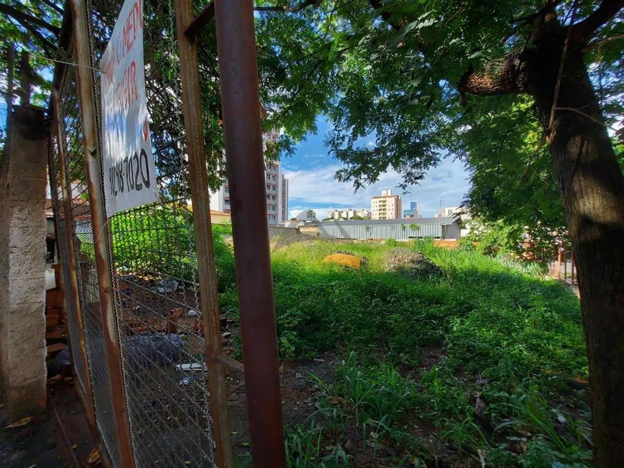 Terreno à venda em Campinas, Vila Itapura, com 280 m² - Foto 3