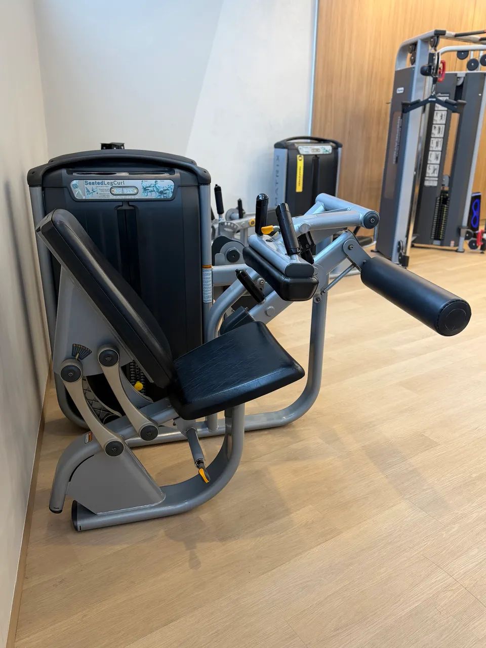 Cadeira Flexora Matrix Profissional - Excelente Estado