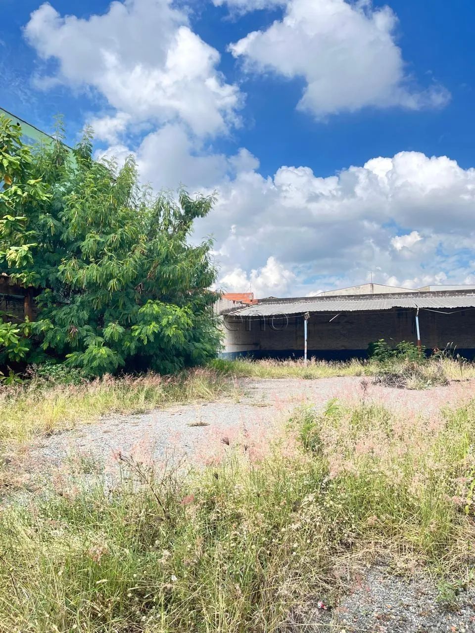 Terreno para alugar em Campinas, Vila Pompéia, com 810 m² - Foto 3