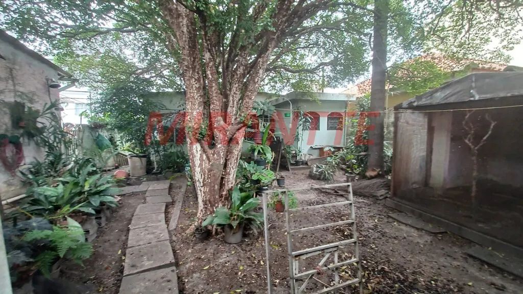 Terreno em Jaçana - Foto 3