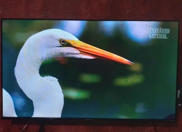 Tv Smart Plasta / Semp Roku 43 Polegadas