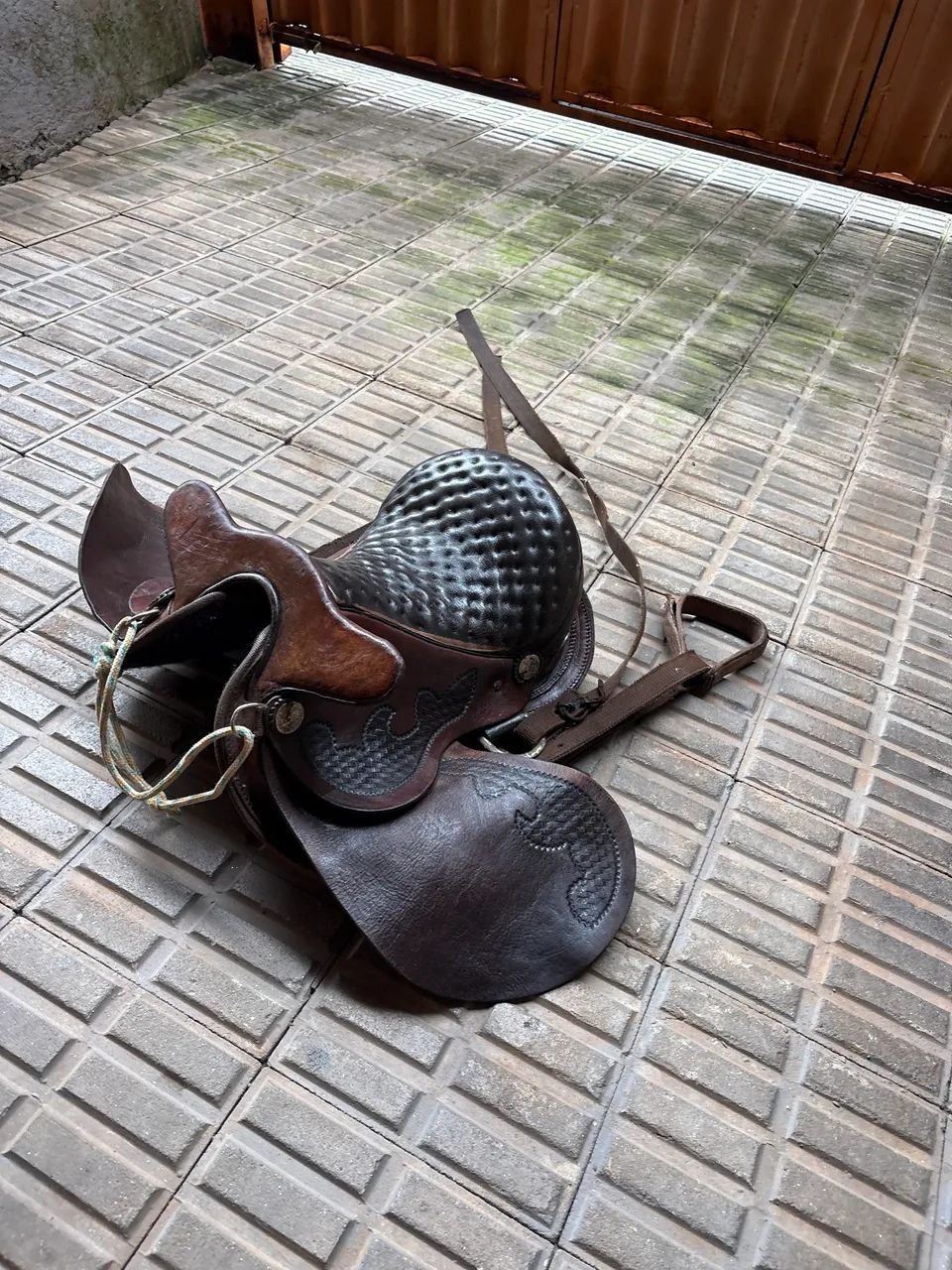 Sela de cabeça  - Foto 3