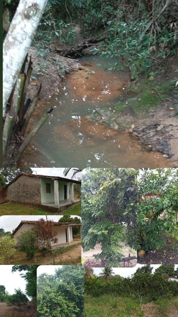 Sítio em Salgado ( Rio dentro ) - Foto 2