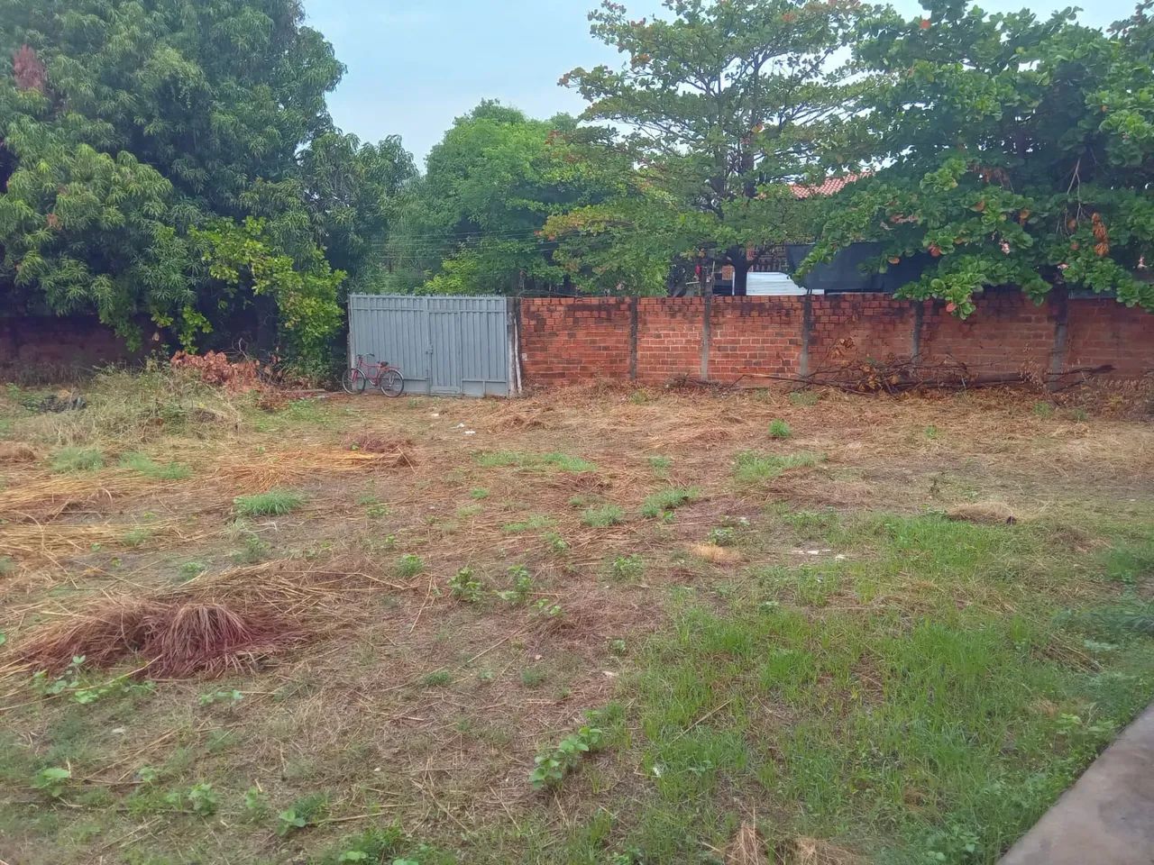 Venda terreno com galpão  - Foto 4