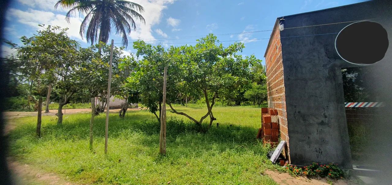 Vende - Terreno  - Foto 2