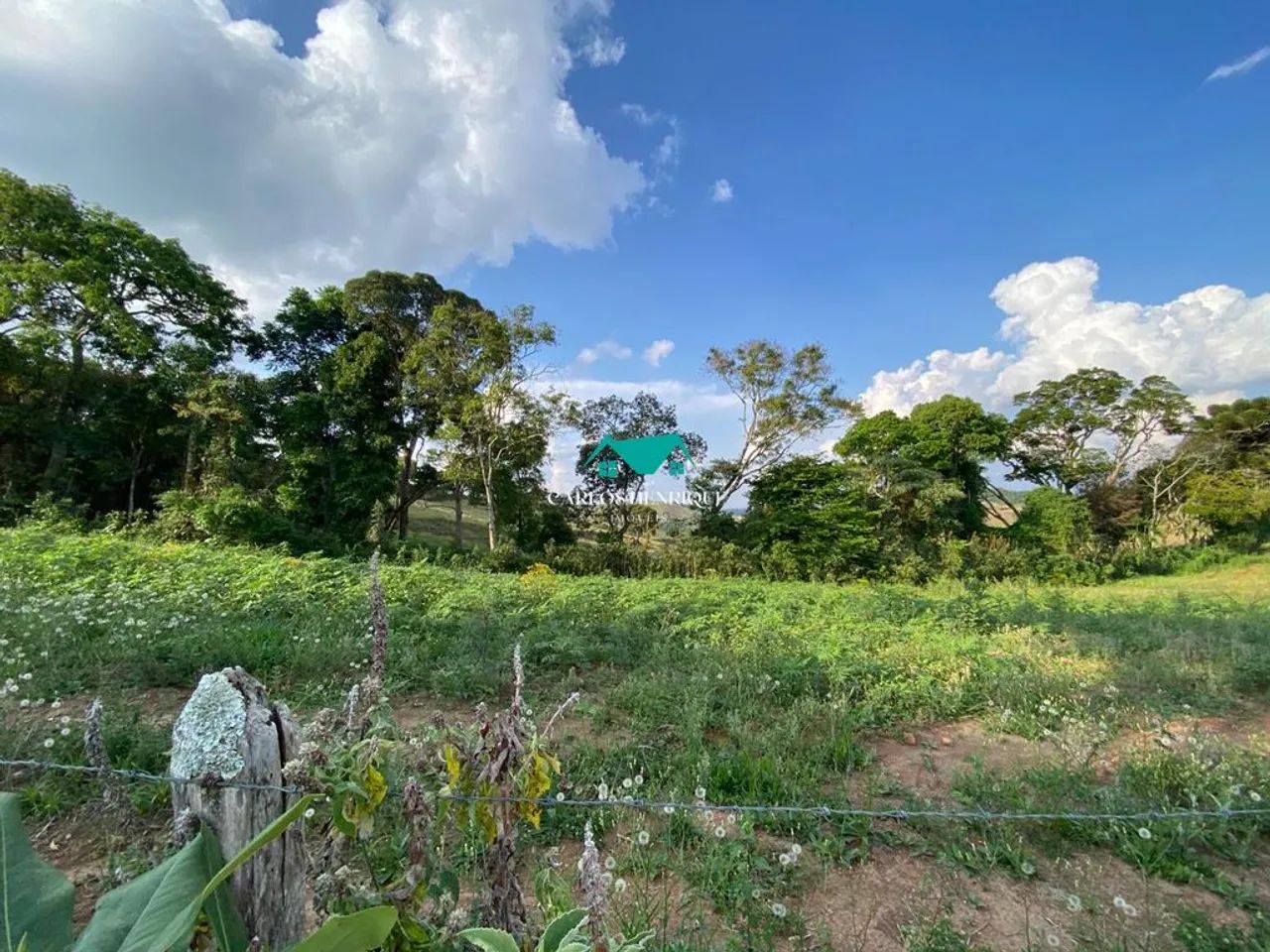 terreno de 7400m2 - Foto 2