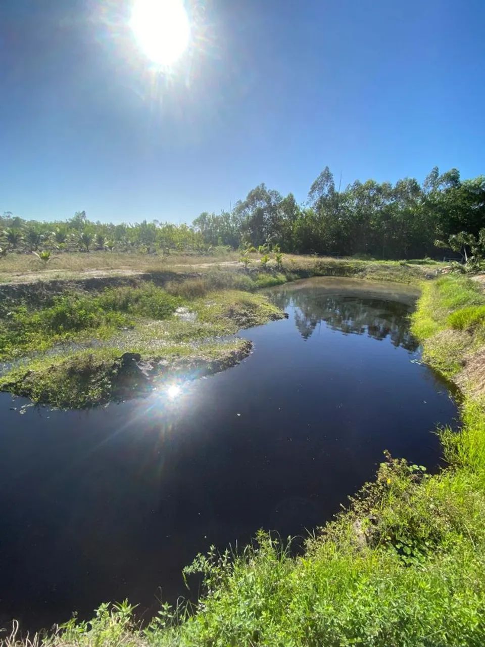 12 hectares em Jaguaré es  - Foto 5