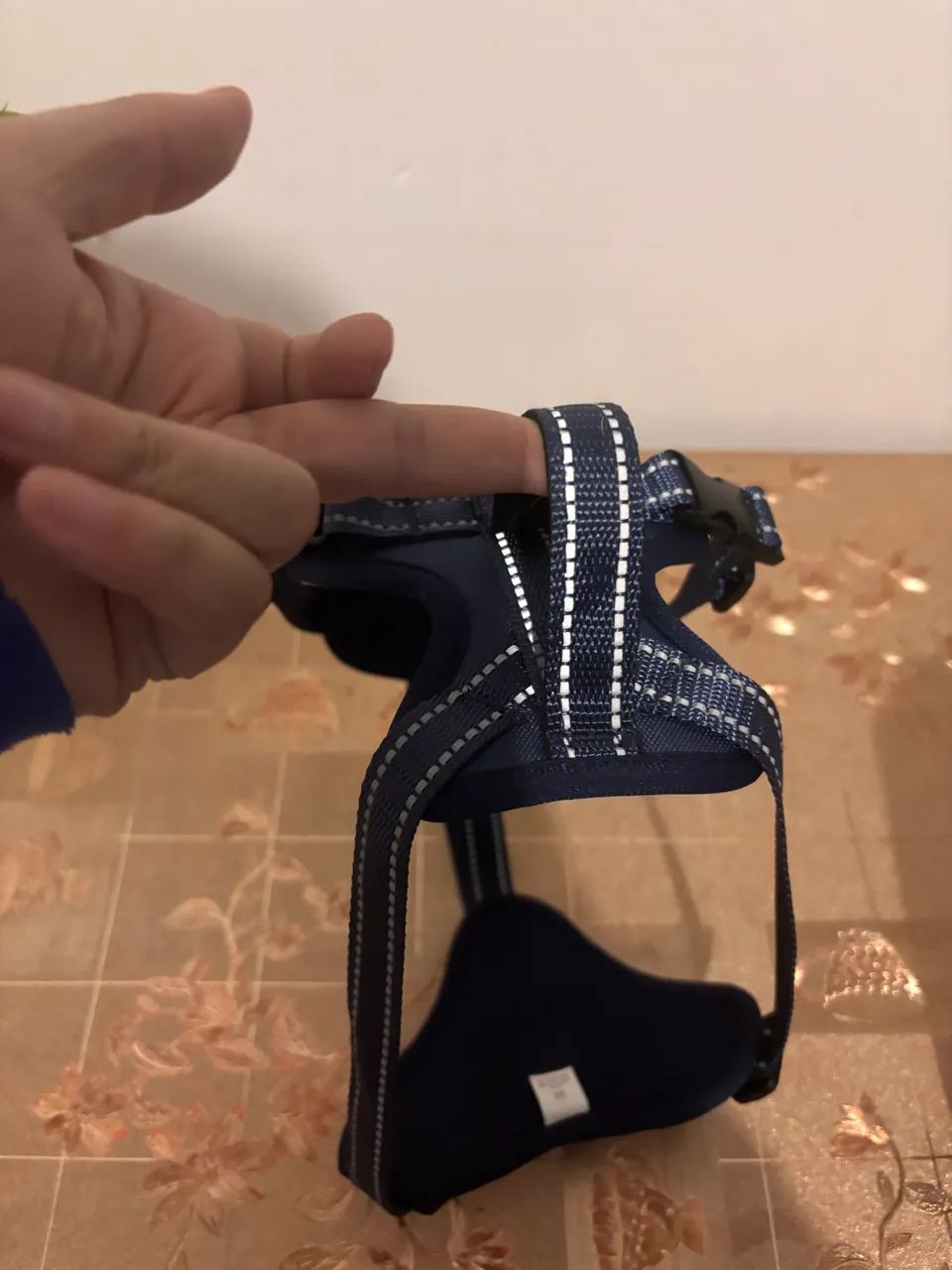 Cólera para cachorro  - Foto 3