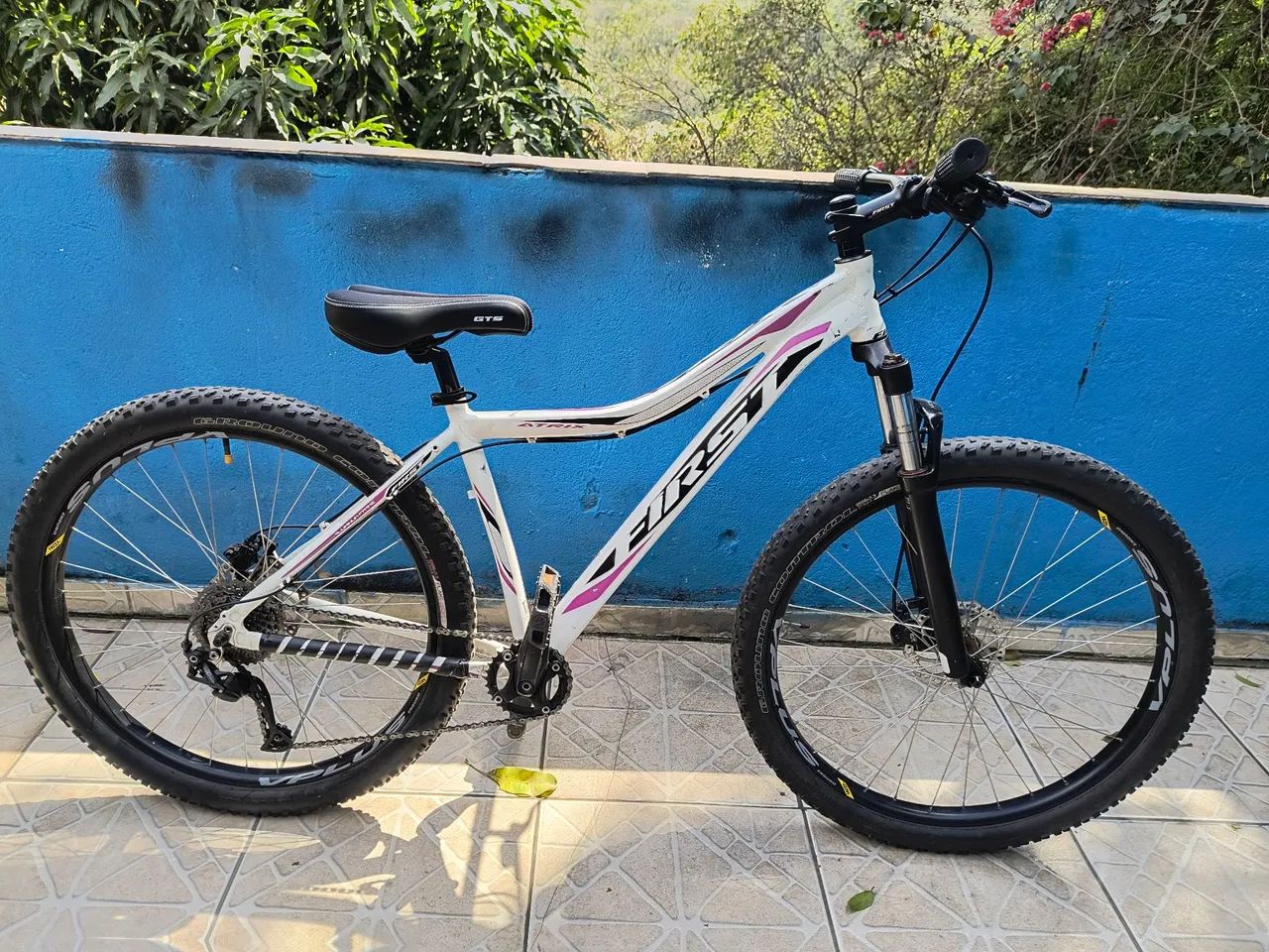 Bicicleta Firs 