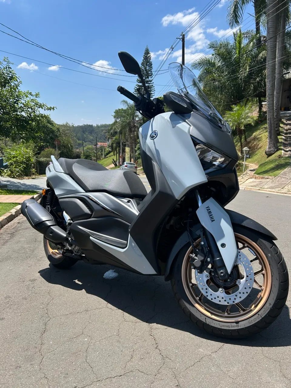 Xmax 300