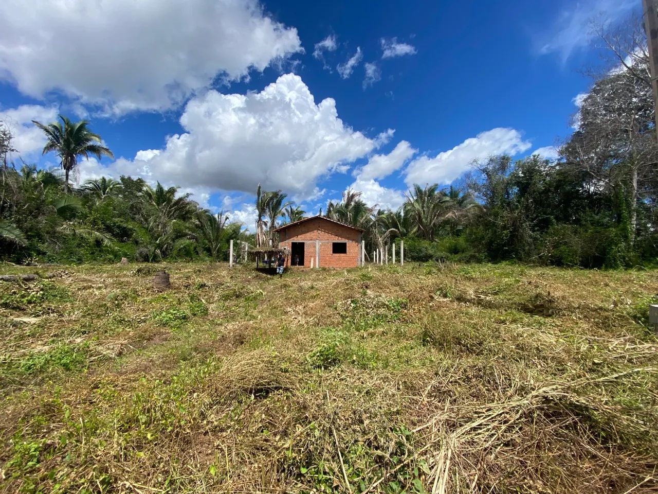 Propriedade a venda no povoado jacurutu - caxias ma - Foto 3