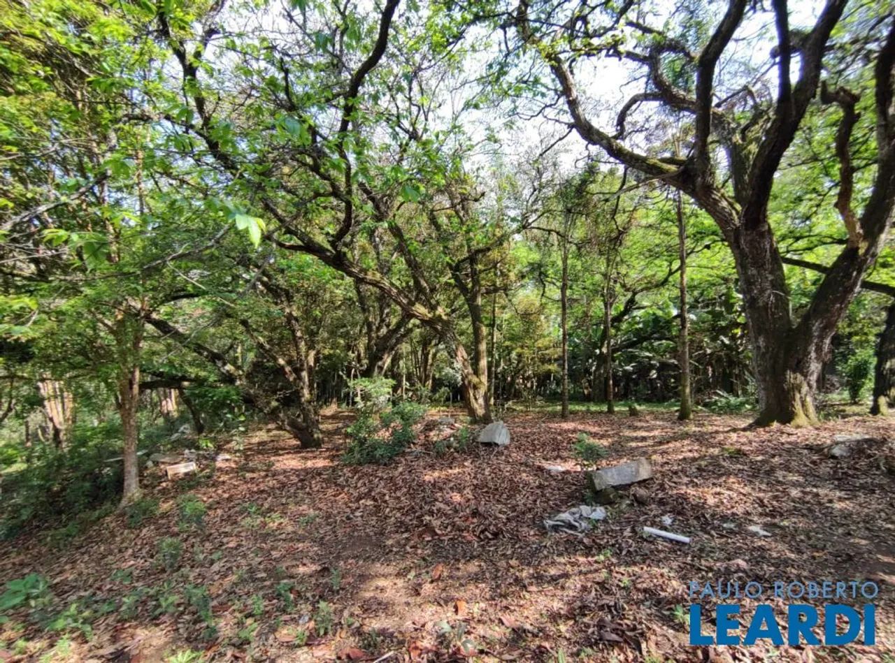 TERRENO - BIANUCCI - MG - Foto 2