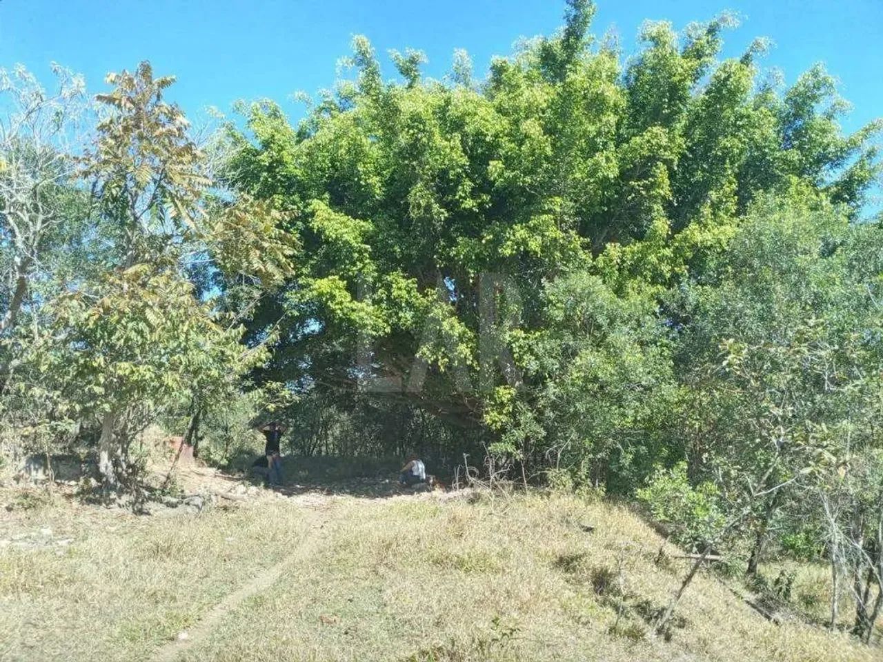 Fazenda - Sítio à venda, Faria - Barbacena/MG - Foto 3