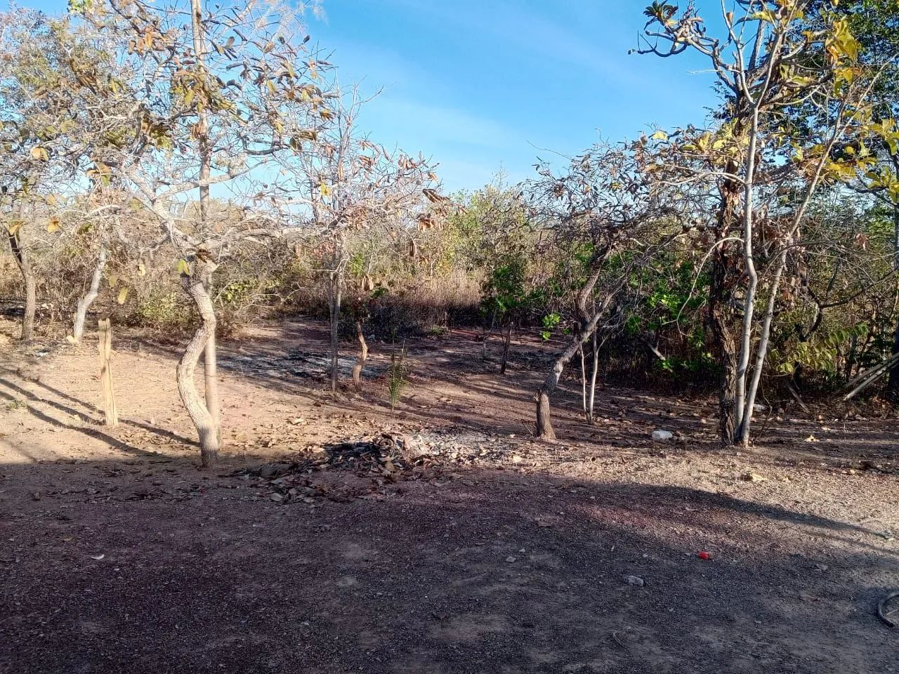 Chracra 2 irmão - Foto 2