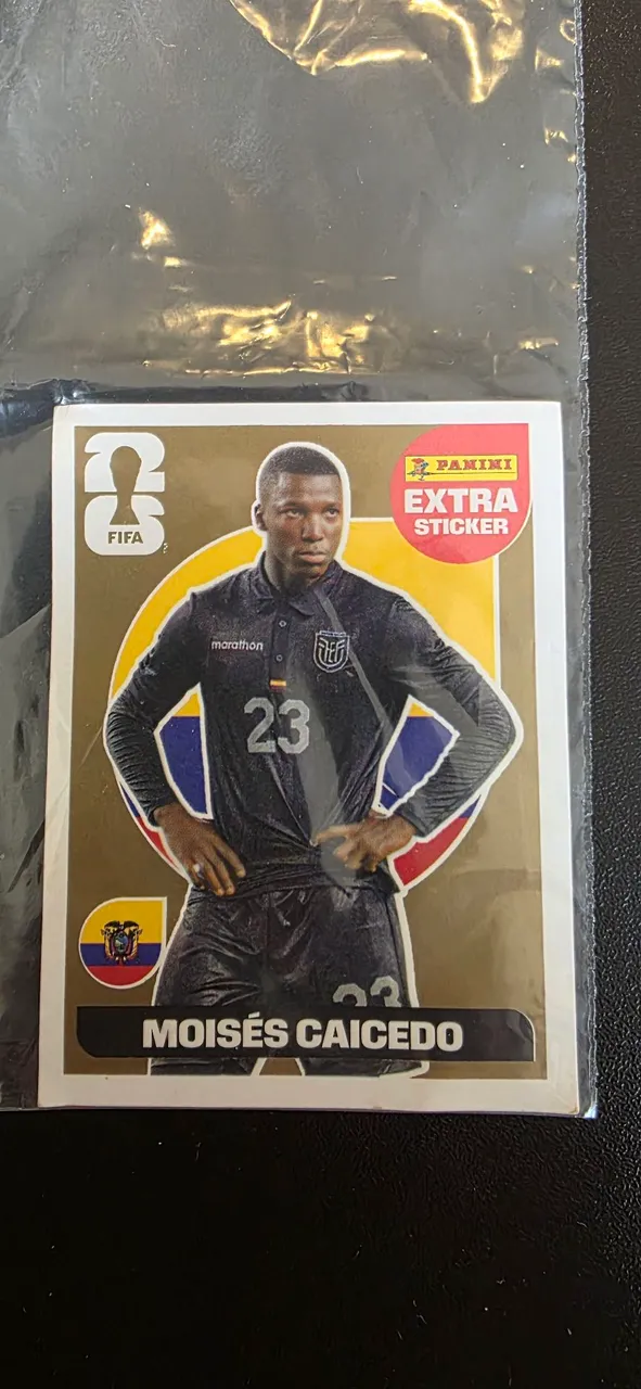 Figurinhas Legend/Rookie - Copa do Mundo 2022 - Esportes de Quadra