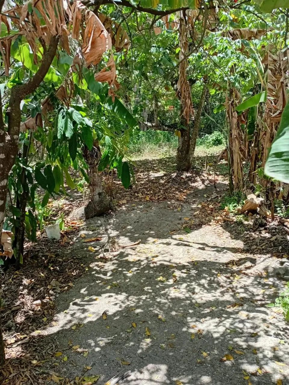 Terreno excelente em Gravatá  - Foto 4